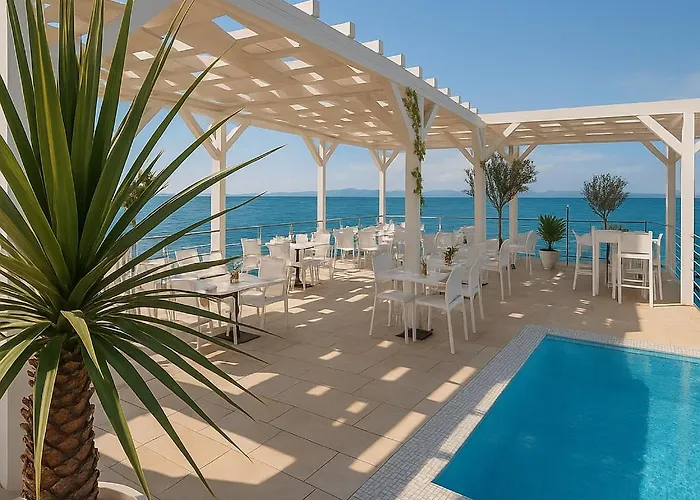 Sunny 1311 * Petrcane